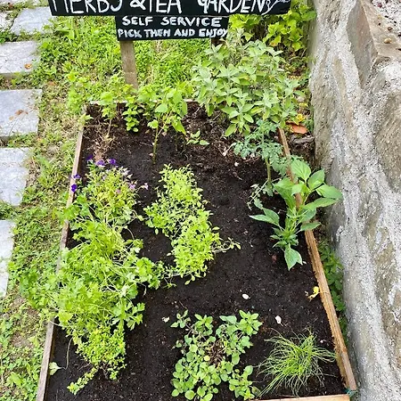 Appartement Lucky - Art *