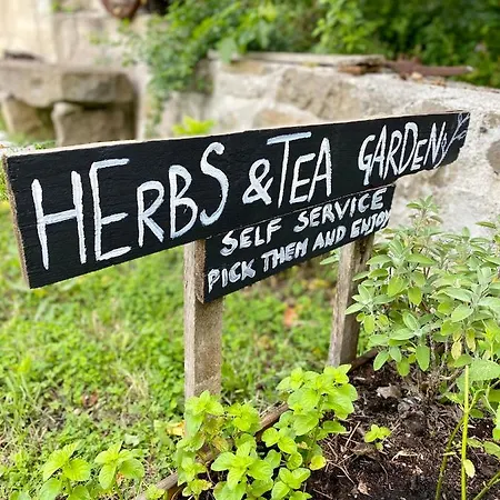 Lucky - Art Grožnjan