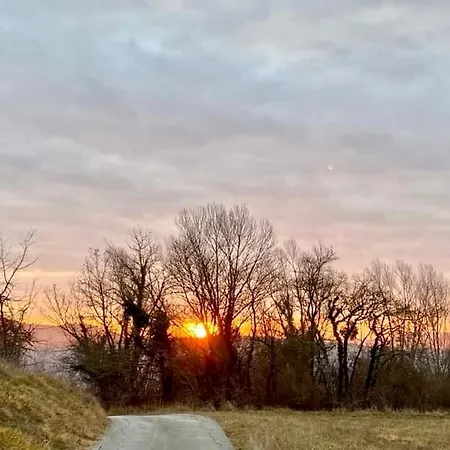 Lucky - Art * Grožnjan